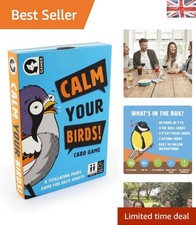 Silly Bird-Themed Matching