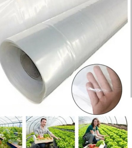 Clear polythene roll m - polythene,