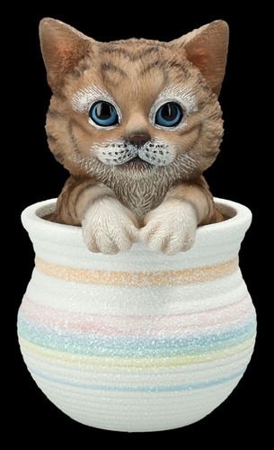 Decorative figure cat braun - cat,
