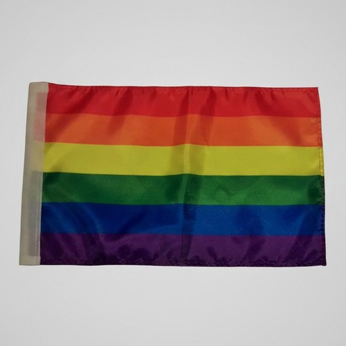 Rainbow flag 45cm 30cm - 30cm,