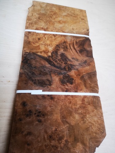 Burr burl walnut veneer 42 - , burr/burl