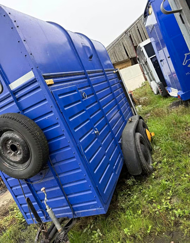 Rice single horse trailer - rice,