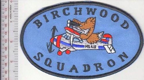 Civil air patrol - air,