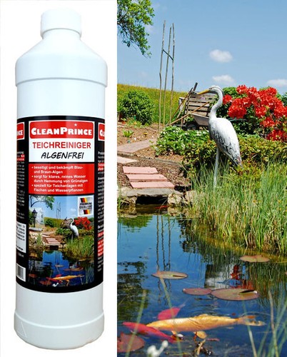 Pond cleaner algae - pond, 1