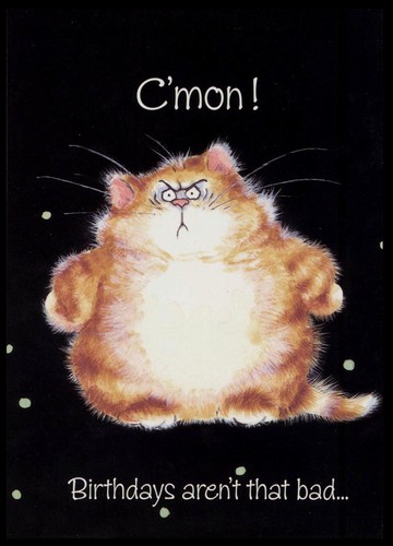 Greeting card cat - greeting,