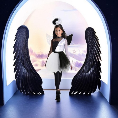 Angel devil wing costume - devil,