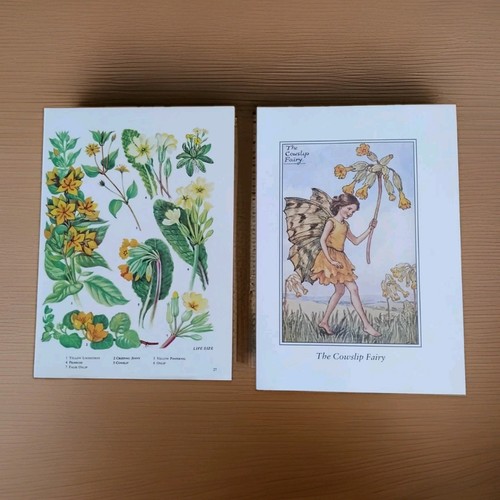 Vintage cowslip flower fairy - cowslip,
