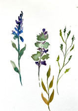 Original Watercolour Painting