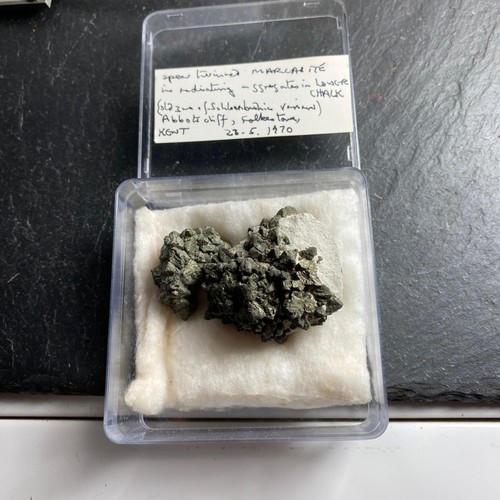 Marcasite specimens abbots - 2,
