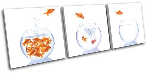 Goldfish bowls animals treble - goldfish,