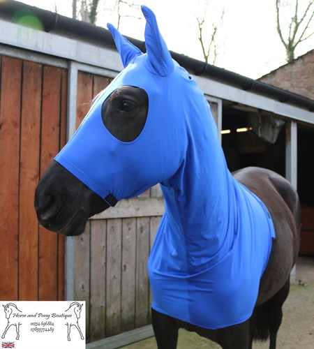 Royal blue lycra - , hood