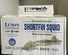 Dirty Illex Squid 5Ib Case