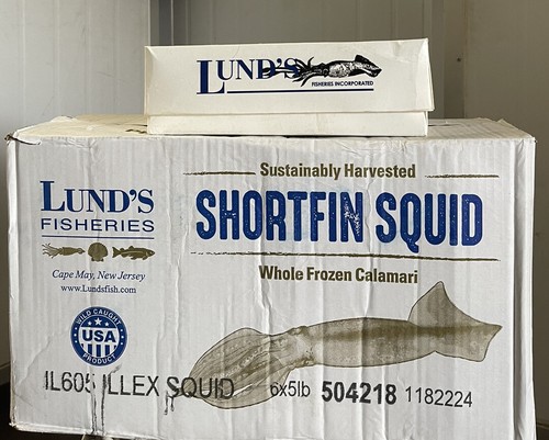 Dirty illex squid 5ib - squid,