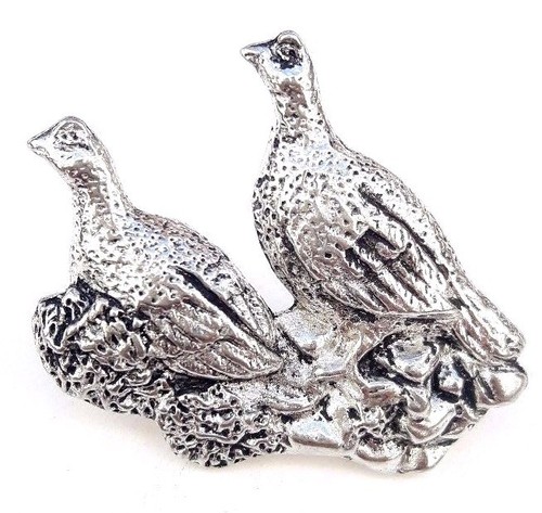 Pair grouse bird finely - pair,