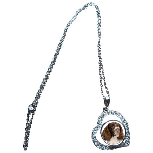 Springer spaniel heart - springer,