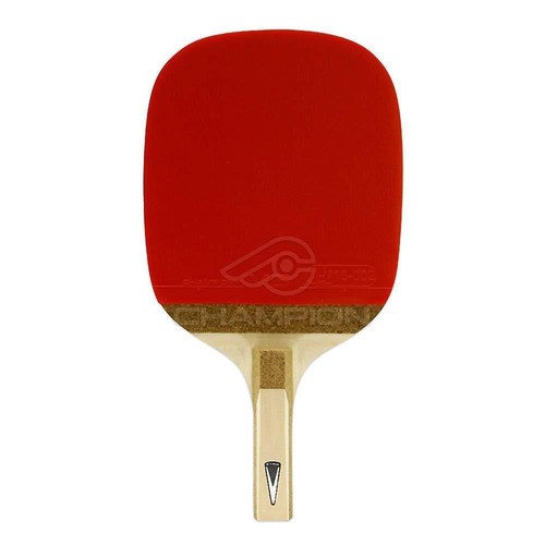 Champion table tennis - champion,