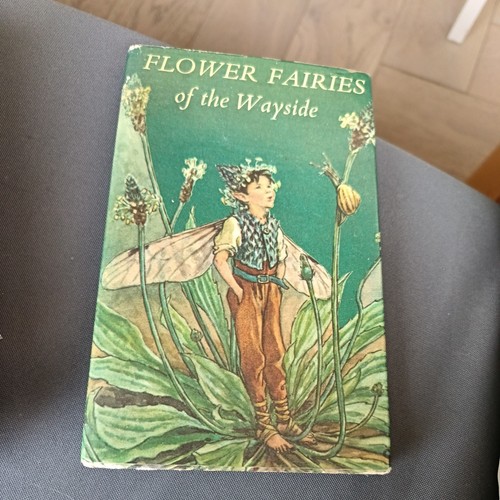 Flower fairies the - flower, wayside