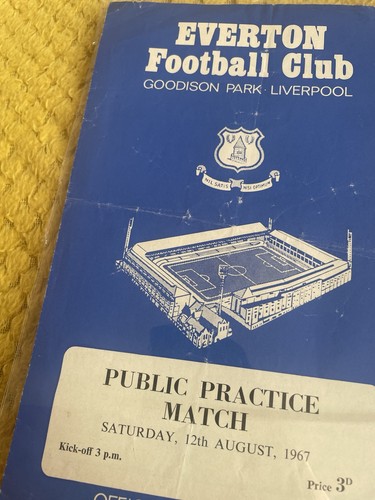 Everton public practice - practice, match