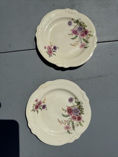 Vintage homer laughlin china - laughlin,