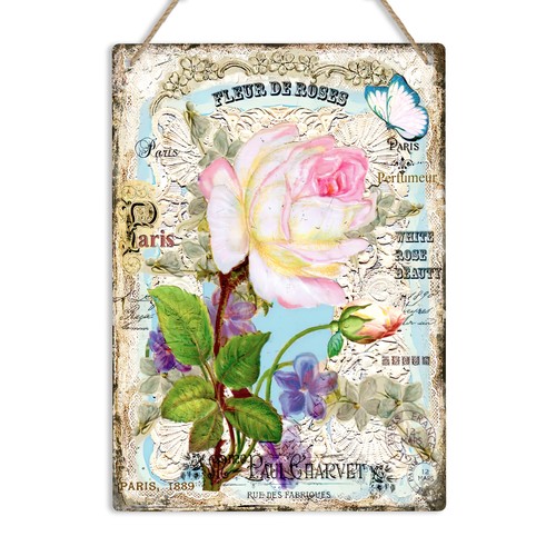 Shabby chic white rose flower - shabby,