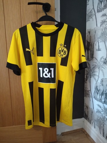 Men puma borussia dortmund - puma,