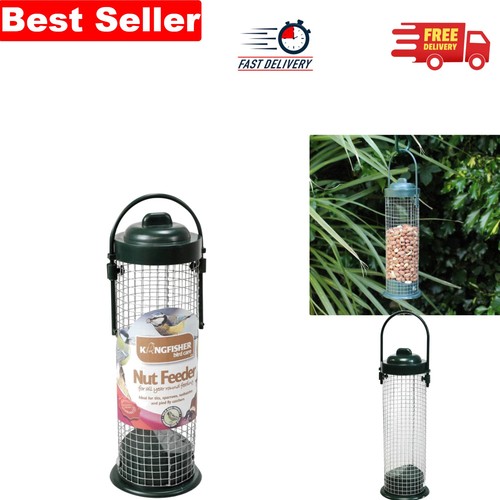 Stylish kingfisher transparent - stylish,