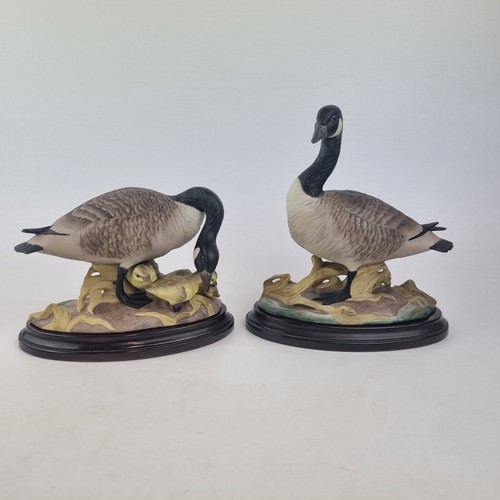 Pair boehm porcelain figures - pair,