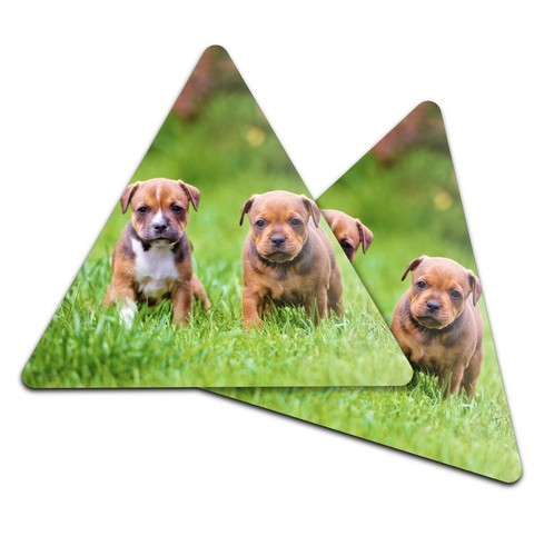 Triangle coaster - 2x,
