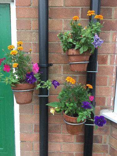 Single drainpipe planter pot - planter, /