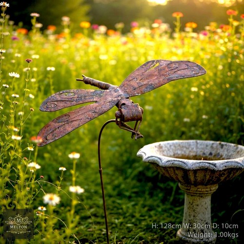 Rusty dragonfly garden - rusty,