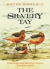 The silvery tay paintings and - silvery, tay: