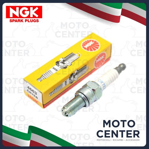 Spark plug ngk - ngk, piaggio