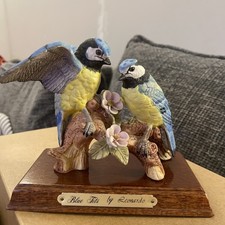 Blue Tit by Leonardo Bird