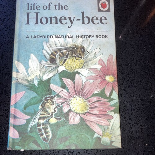 Life the honey bee - of,