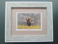 David Shepherd print 'Wise Old