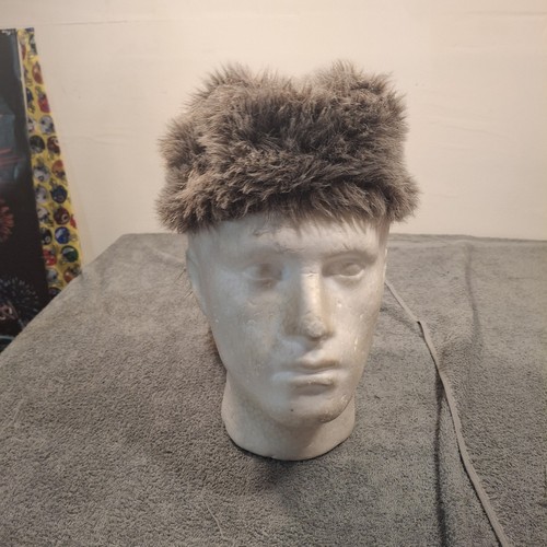 Davy crockett racoon hat - davy,