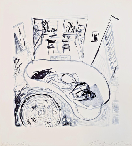 Tracey emin sleep - tracey, at