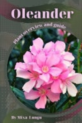 Oleander plant overview - plant,