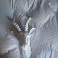 Faux Taxidermy Wildlife Wall Decor Matt White  Impala Antelope  Head  H60cm