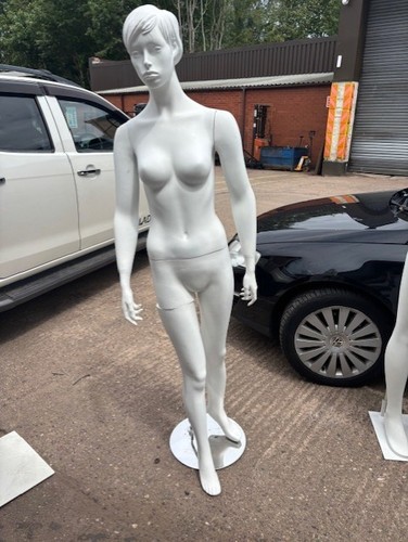 Full body mannequin torso - full,