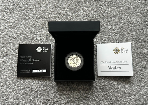 2013 one pound silver - 2013,