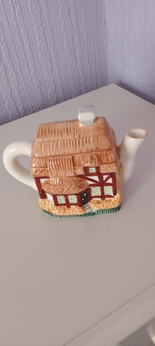 Novelty tea pot - novelty,