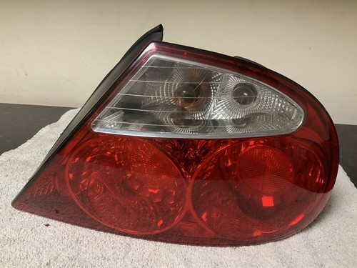 Genuine jaguar type - jaguar,