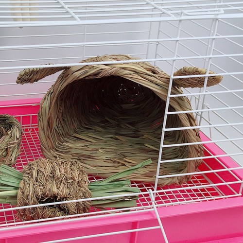 Straw pet cute rabbit head - pet,
