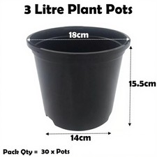 Litre black plant - litre, pots