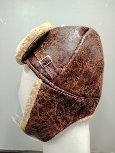 Fancy dress brown flying - fancy,