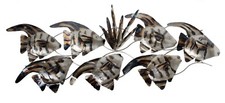SCHOOL OF SILVER ANGEL FISH