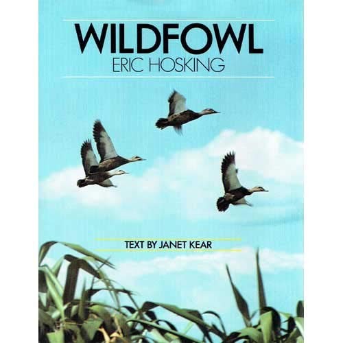 Wildfowl hosking eric - -,
