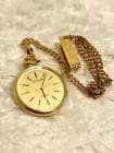 New citizen pocket - pocket, watch