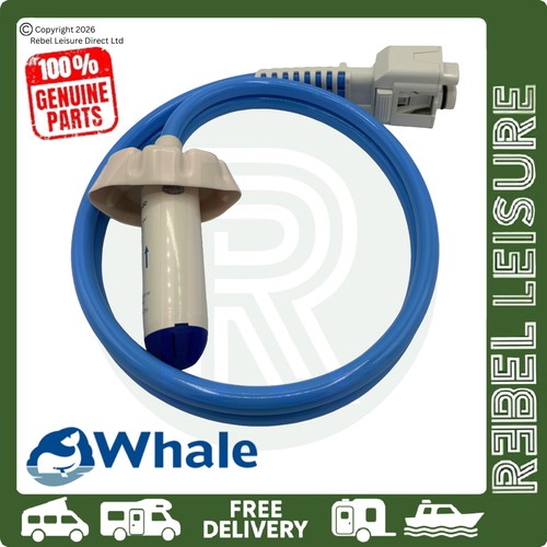 Whale truma carver crystal - whale,